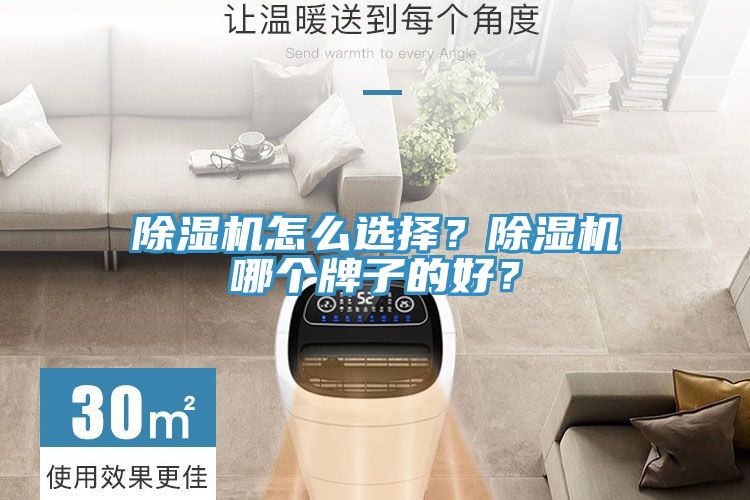 除濕機怎么選擇？除濕機哪個牌子的好？