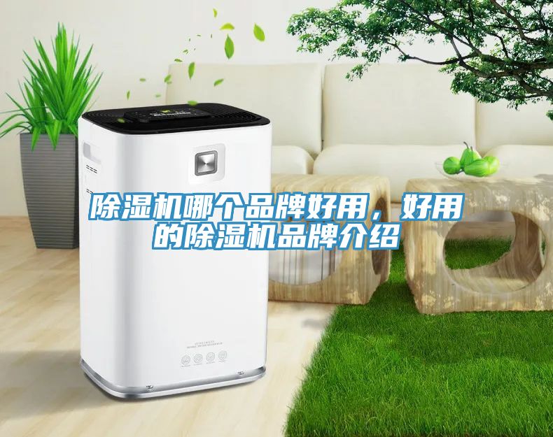 除濕機(jī)哪個品牌好用，好用的除濕機(jī)品牌介紹