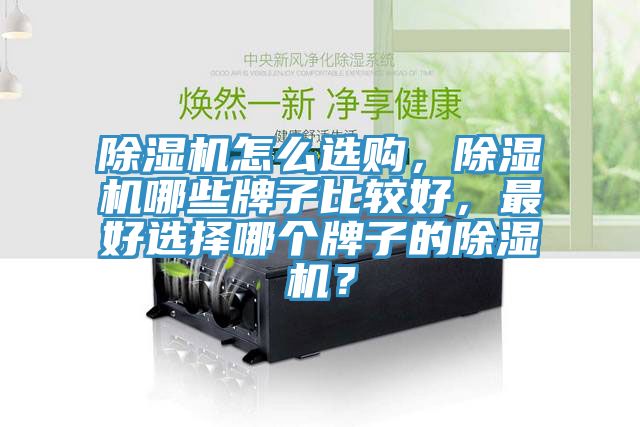 除濕機(jī)怎么選購(gòu)，除濕機(jī)哪些牌子比較好，最好選擇哪個(gè)牌子的除濕機(jī)？