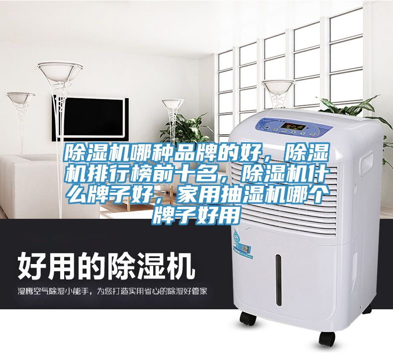 除濕機(jī)哪種品牌的好，除濕機(jī)排行榜前十名，除濕機(jī)什么牌子好，家用抽濕機(jī)哪個(gè)牌子好用