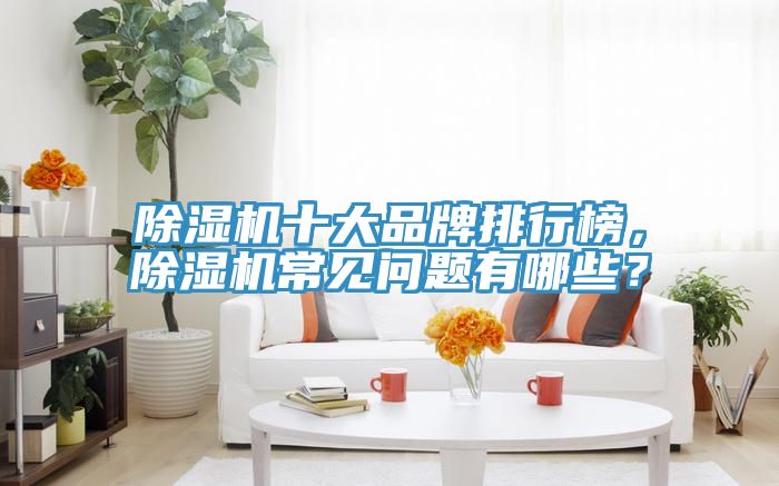 除濕機(jī)十大品牌排行榜，除濕機(jī)常見問題有哪些？