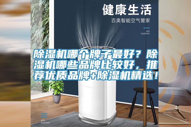 除濕機哪個牌子最好？除濕機哪些品牌比較好，推薦優(yōu)質(zhì)品牌+除濕機精選！