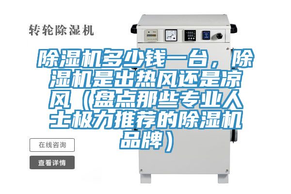 除濕機(jī)多少錢一臺，除濕機(jī)是出熱風(fēng)還是涼風(fēng)（盤點(diǎn)那些專業(yè)人士極力推薦的除濕機(jī)品牌）
