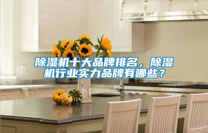 除濕機十大品牌排名，除濕機行業(yè)實力品牌有哪些？