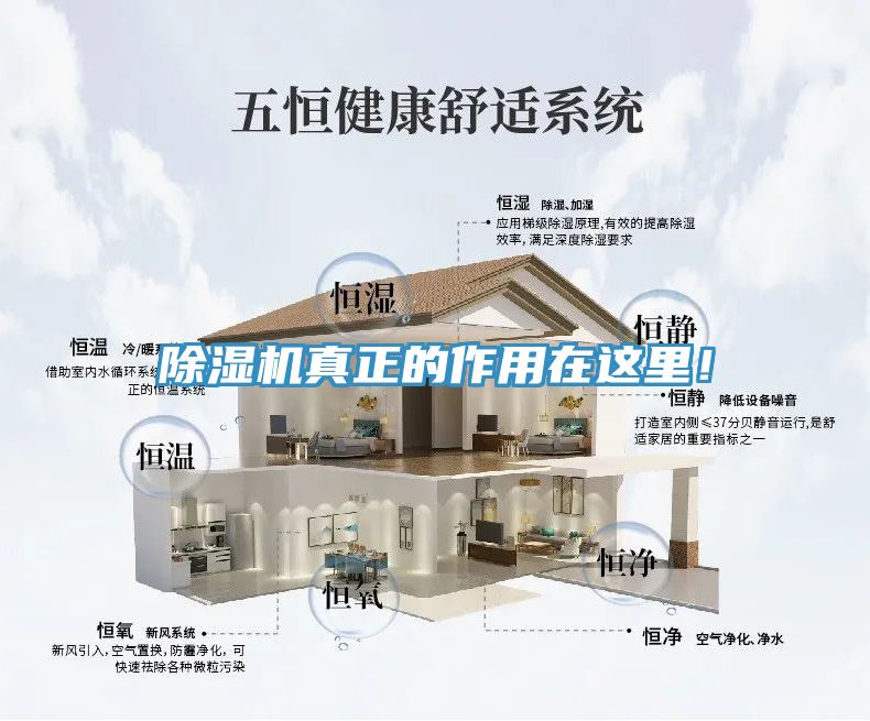 除濕機真正的作用在這里！
