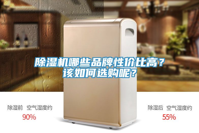 除濕機哪些品牌性價比高？該如何選購呢？