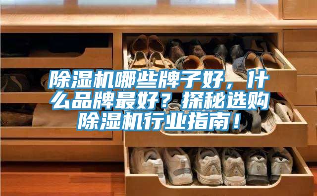 除濕機(jī)哪些牌子好，什么品牌最好？探秘選購(gòu)除濕機(jī)行業(yè)指南！