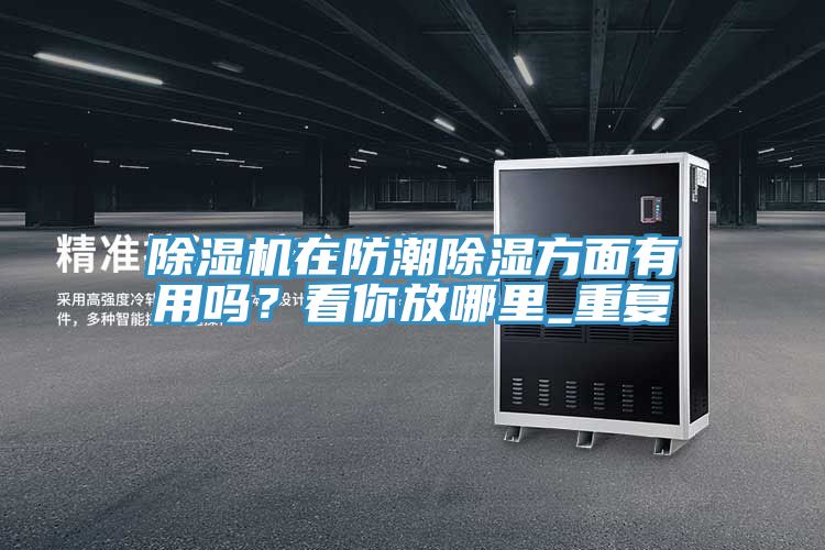 除濕機(jī)在防潮除濕方面有用嗎？看你放哪里_重復(fù)
