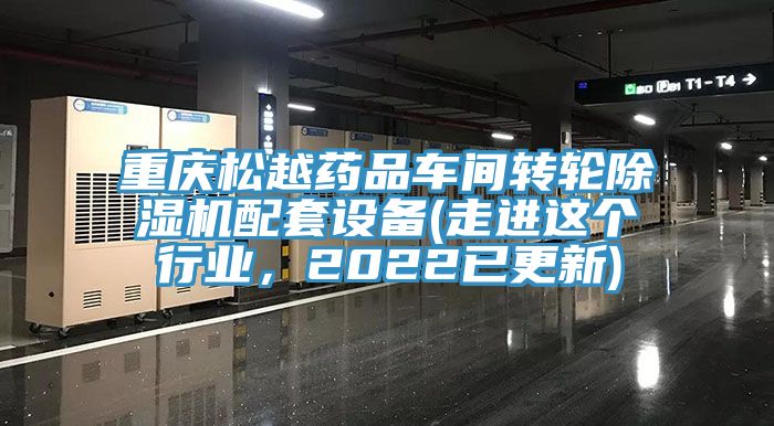 重慶松越藥品車間轉輪除濕機配套設備(走進這個行業(yè)，2022已更新)