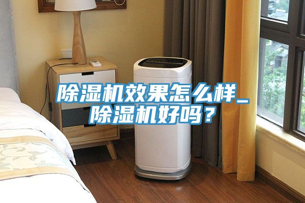 除濕機(jī)效果怎么樣_除濕機(jī)好嗎？