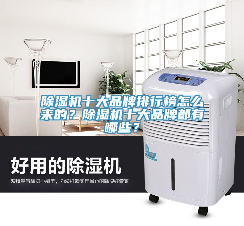 除濕機十大品牌排行榜怎么來的？除濕機十大品牌都有哪些？