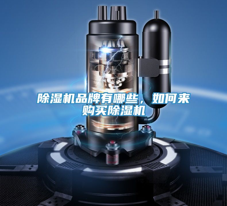 除濕機(jī)品牌有哪些，如何來購買除濕機(jī)