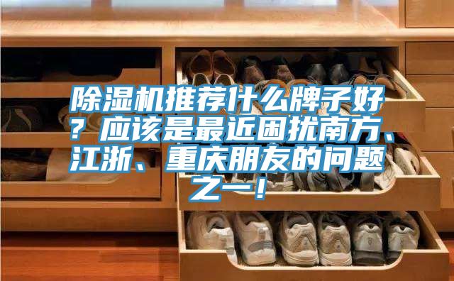 除濕機(jī)推薦什么牌子好？應(yīng)該是最近困擾南方、江浙、重慶朋友的問題之一！