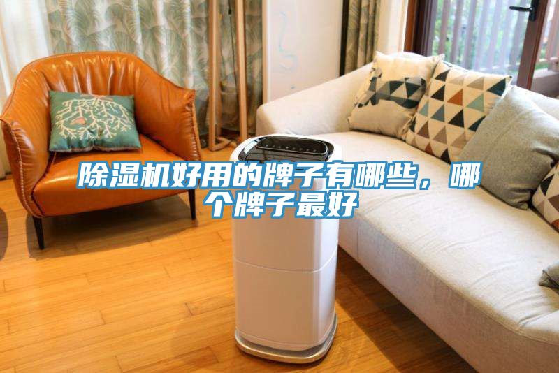除濕機好用的牌子有哪些，哪個牌子最好