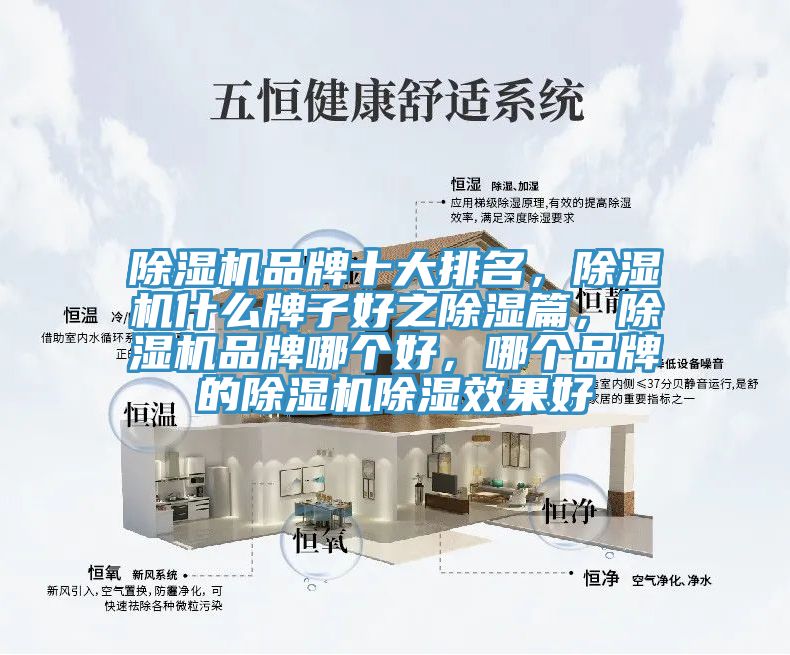 除濕機(jī)品牌十大排名，除濕機(jī)什么牌子好之除濕篇，除濕機(jī)品牌哪個(gè)好，哪個(gè)品牌的除濕機(jī)除濕效果好