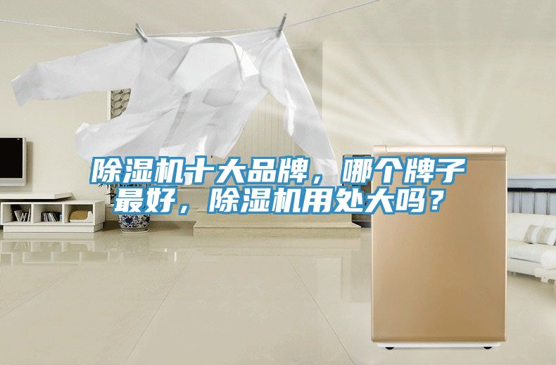 除濕機(jī)十大品牌，哪個(gè)牌子最好，除濕機(jī)用處大嗎？