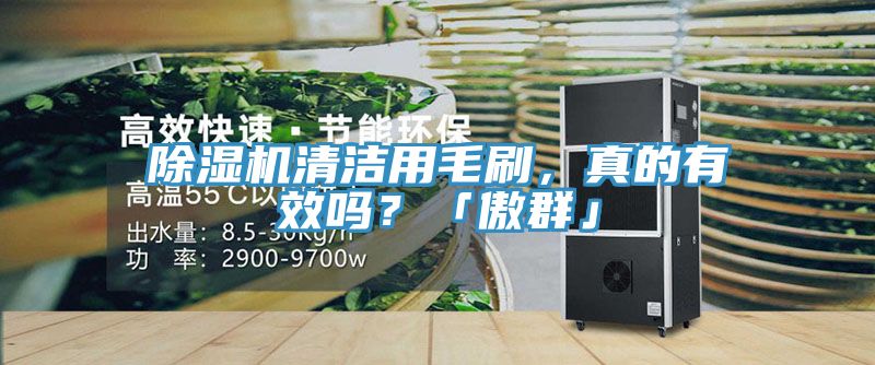 除濕機(jī)清潔用毛刷，真的有效嗎？「傲群」