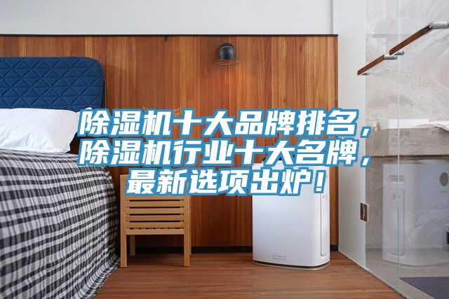 除濕機十大品牌排名，除濕機行業(yè)十大名牌，最新選項出爐！