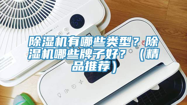 除濕機(jī)有哪些類(lèi)型？除濕機(jī)哪些牌子好？（精品推薦）