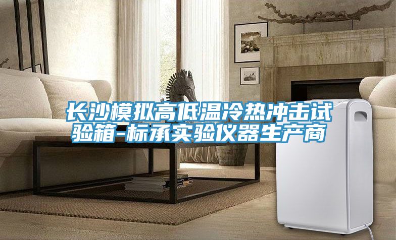長沙模擬高低溫冷熱沖擊試驗箱-標(biāo)承實驗儀器生產(chǎn)商