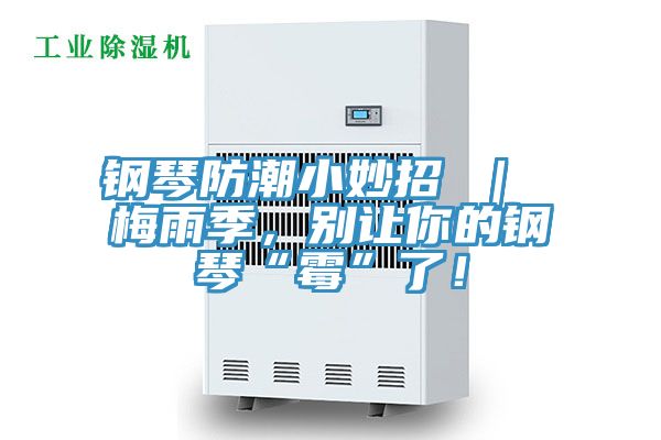 鋼琴防潮小妙招 ｜ 梅雨季，別讓你的鋼琴“霉”了！