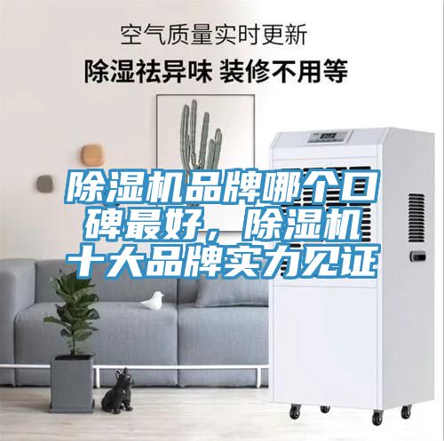 除濕機(jī)品牌哪個(gè)口碑最好，除濕機(jī)十大品牌實(shí)力見(jiàn)證