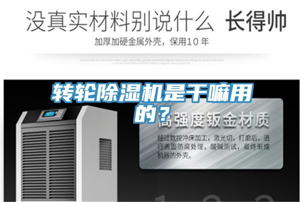 轉(zhuǎn)輪除濕機是干嘛用的？