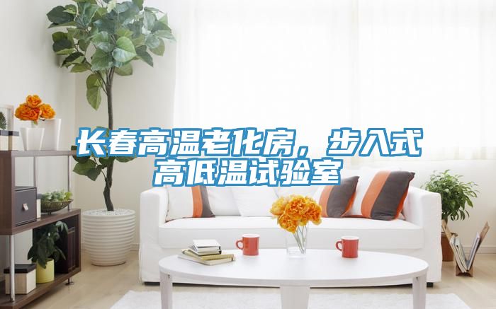 長春高溫老化房，步入式高低溫試驗(yàn)室