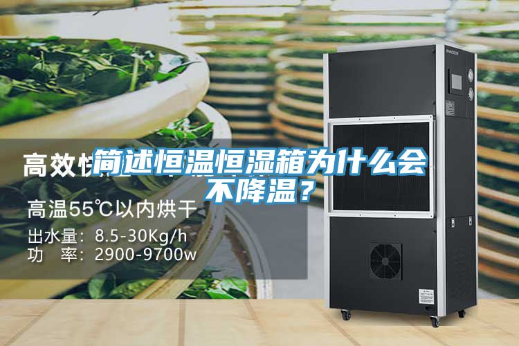 簡(jiǎn)述恒溫恒濕箱為什么會(huì)不降溫？