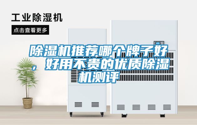 除濕機(jī)推薦哪個(gè)牌子好，好用不貴的優(yōu)質(zhì)除濕機(jī)測評