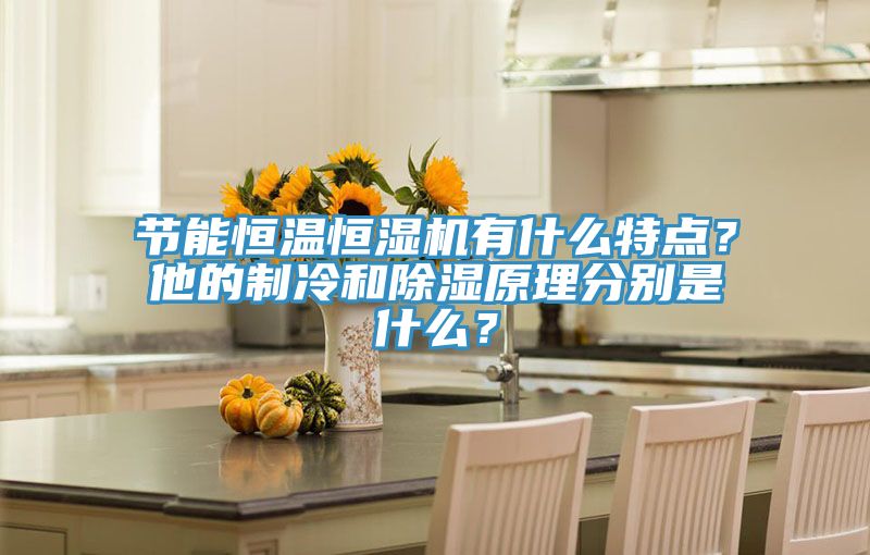 節(jié)能恒溫恒濕機有什么特點？他的制冷和除濕原理分別是什么？