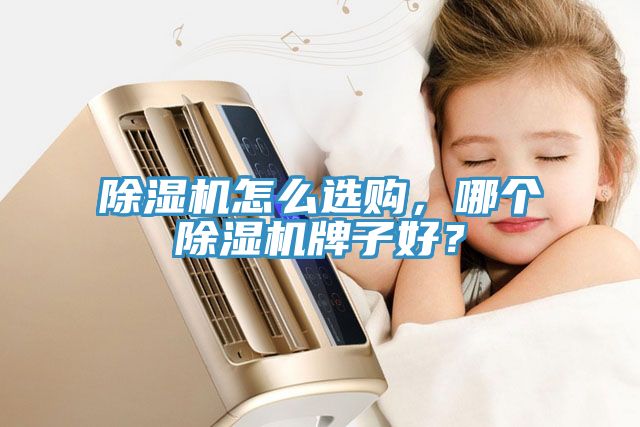 除濕機(jī)怎么選購(gòu)，哪個(gè)除濕機(jī)牌子好？