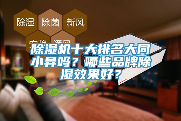 除濕機(jī)十大排名大同小異嗎？哪些品牌除濕效果好？