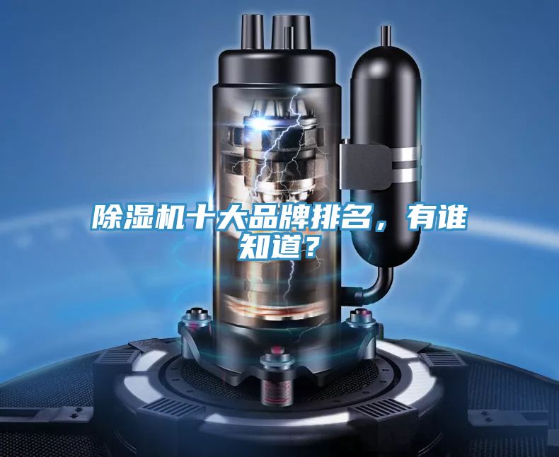 除濕機十大品牌排名，有誰知道？