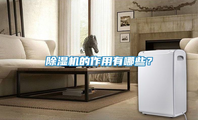 除濕機的作用有哪些？