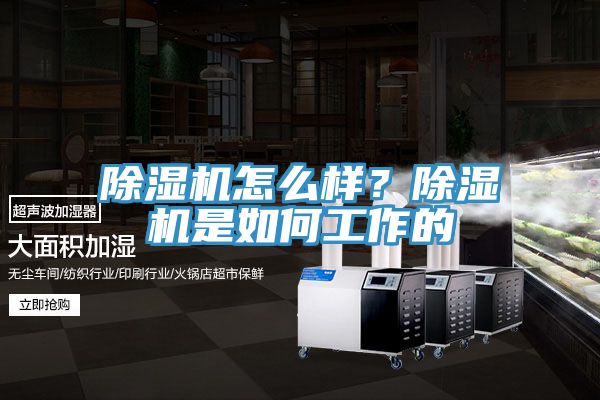 除濕機(jī)怎么樣？除濕機(jī)是如何工作的