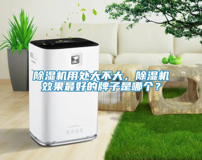 除濕機用處大不大，除濕機效果最好的牌子是哪個？