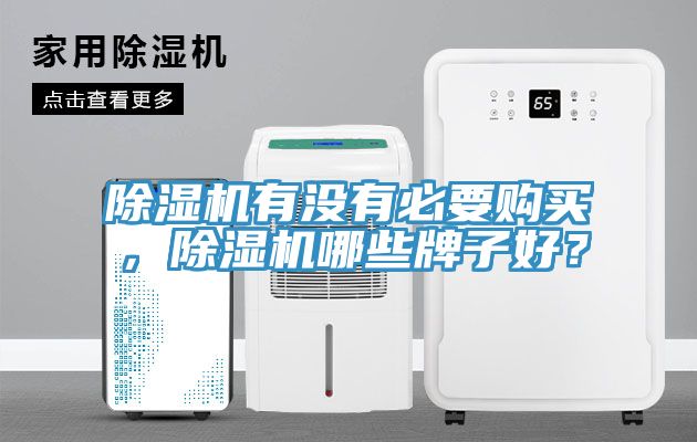 除濕機有沒有必要購買，除濕機哪些牌子好？