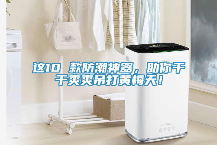 這10 款防潮神器，助你干干爽爽吊打黃梅天！