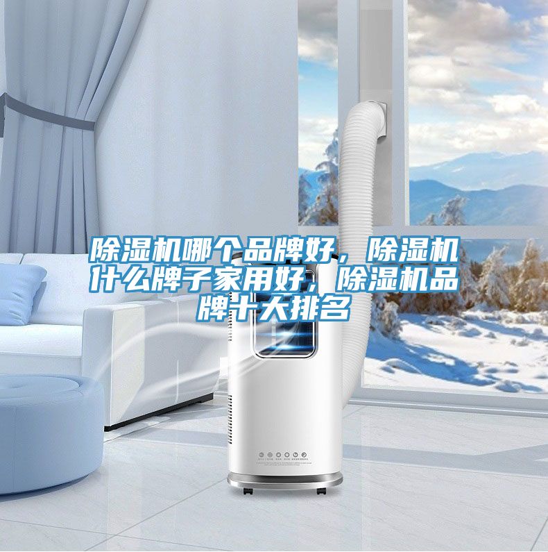 除濕機哪個品牌好，除濕機什么牌子家用好，除濕機品牌十大排名