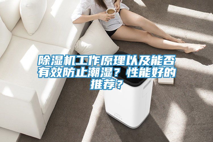 除濕機(jī)工作原理以及能否有效防止潮濕？性能好的推薦？