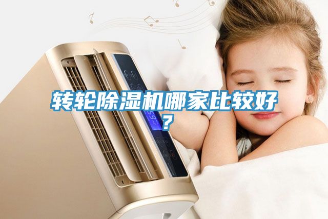 轉(zhuǎn)輪除濕機(jī)哪家比較好？