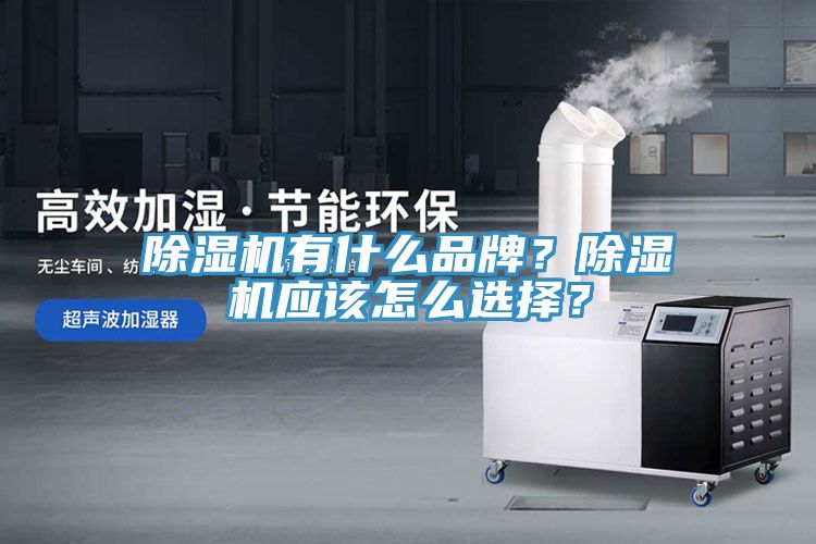 除濕機(jī)有什么品牌？除濕機(jī)應(yīng)該怎么選擇？