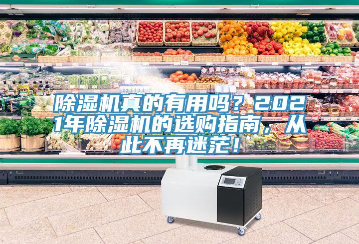 除濕機真的有用嗎？2021年除濕機的選購指南，從此不再迷茫！