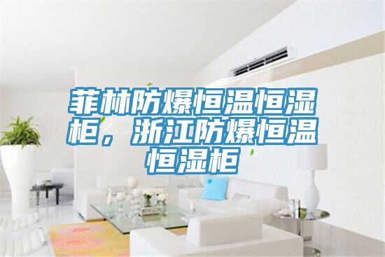 菲林防爆恒溫恒濕柜，浙江防爆恒溫恒濕柜