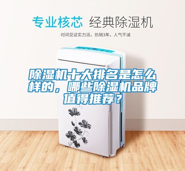 除濕機(jī)十大排名是怎么樣的，哪些除濕機(jī)品牌值得推薦？