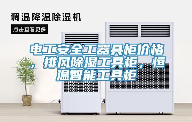 電工安全工器具柜價格，排風(fēng)除濕工具柜，恒溫智能工具柜