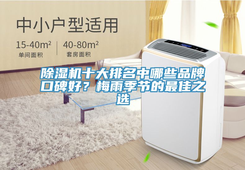 除濕機(jī)十大排名中哪些品牌口碑好？梅雨季節(jié)的最佳之選