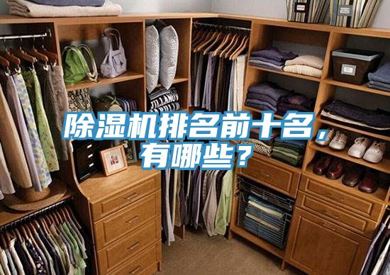 除濕機排名前十名，有哪些？