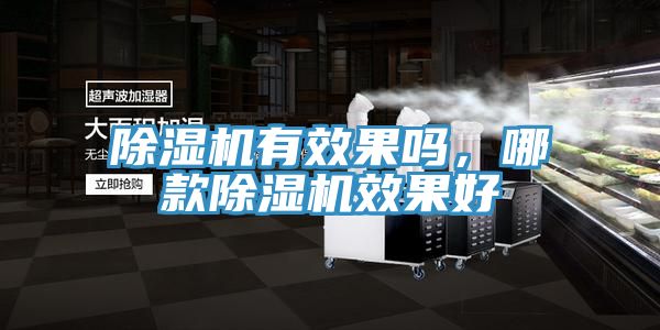 除濕機有效果嗎，哪款除濕機效果好